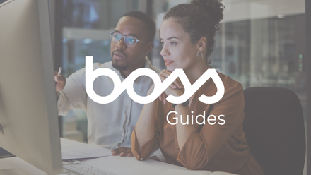 boss Guides furniture & ergo.png