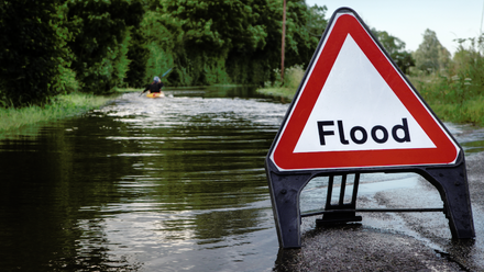 Flood news article image.png