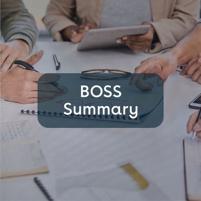 BOSS Summary Autumn Statement 2023